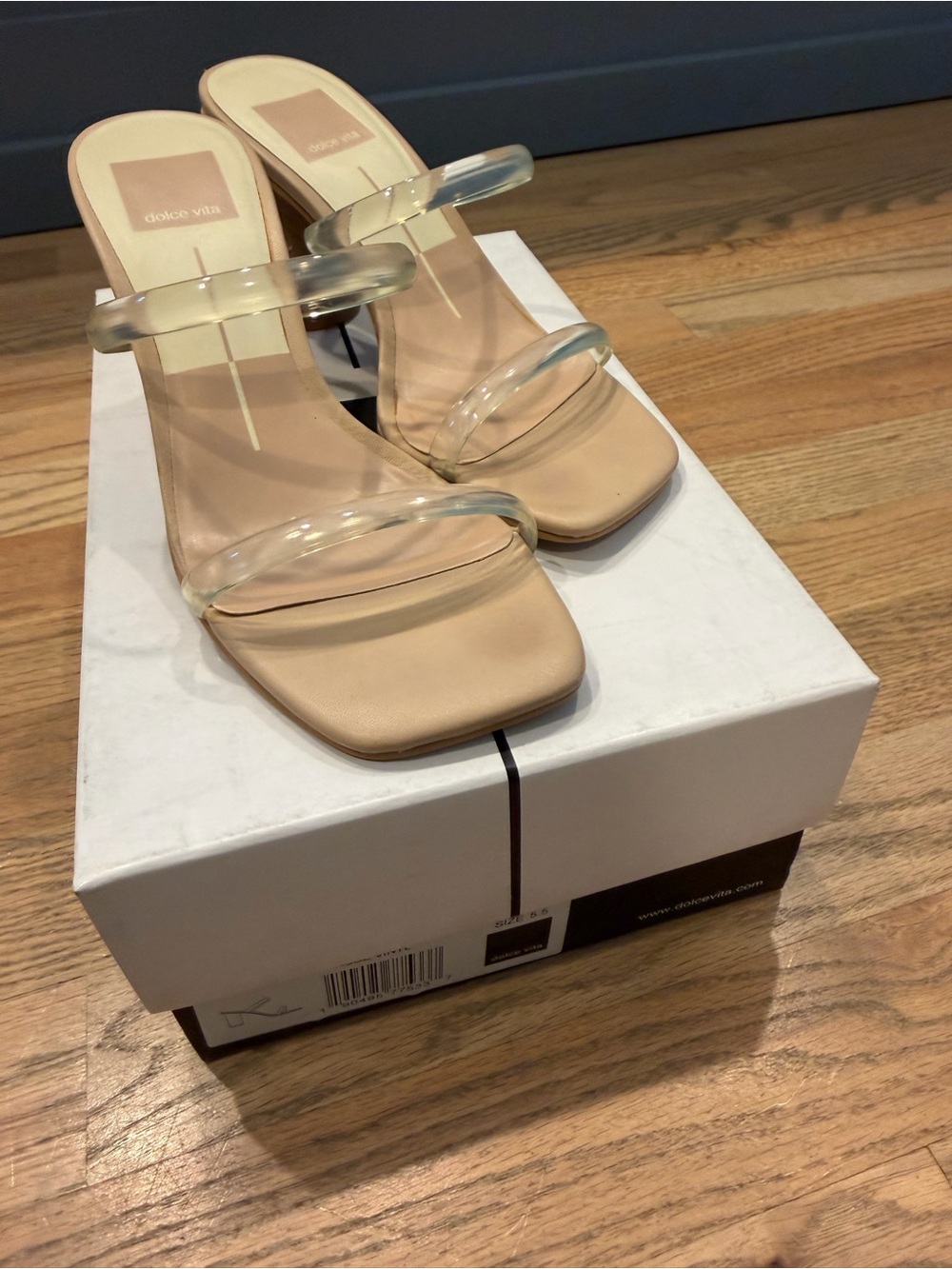 Dolce Vita Noles Heel in Nude/Clear, Size 6